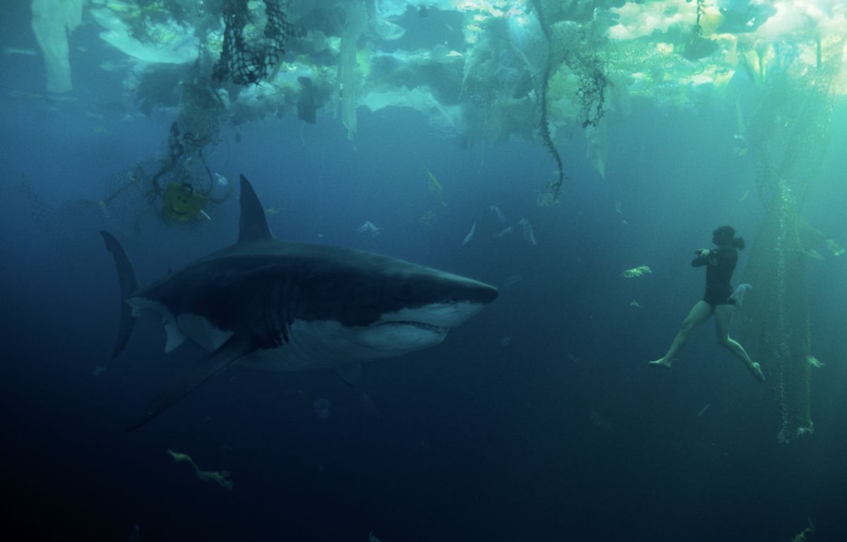 Cr Tica De En Las Profundidades Del Sena Una Cat Strofe De Tiburones