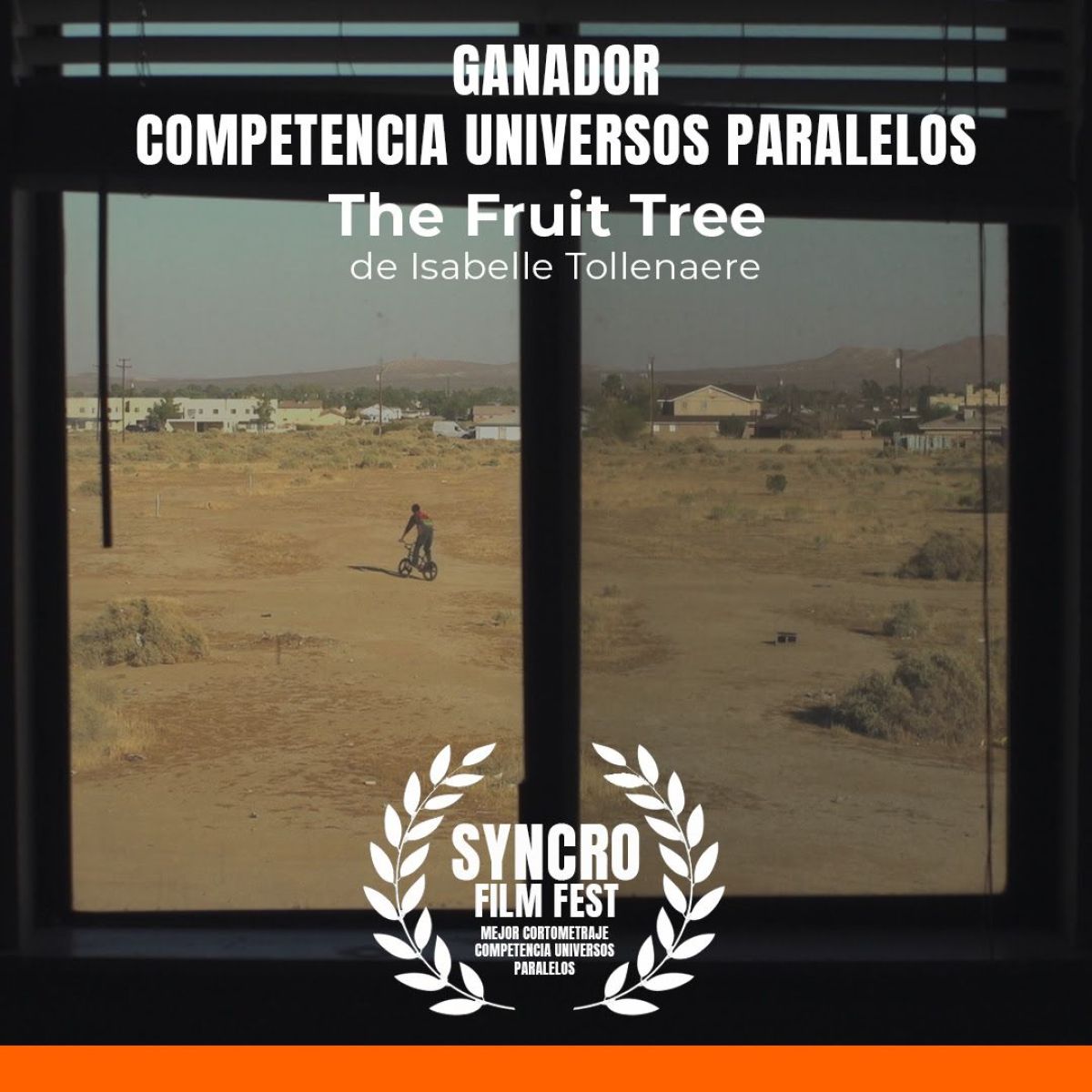 Todos los ganadores de Syncro, Festival Internacional de Cortometrajes de Buenos Aires