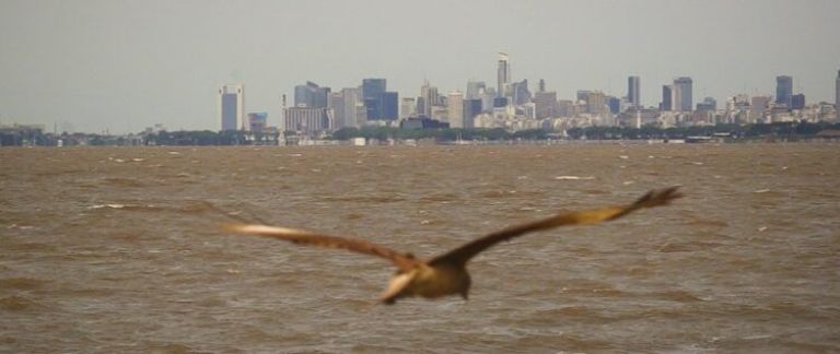 Crítica de "Reformadores", Marina Zeising y la Iglesia Evangélica en el Río de la Plata
