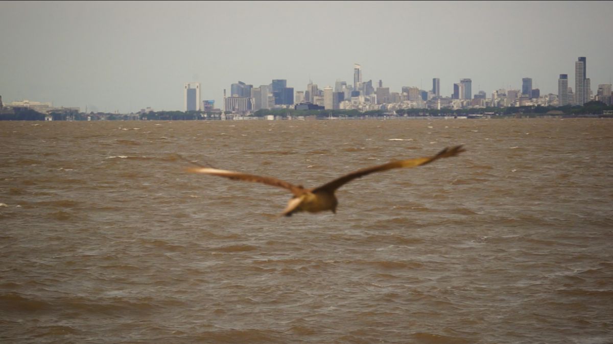 Crítica de "Reformadores", Marina Zeising y la Iglesia Evangélica en el Río de la Plata