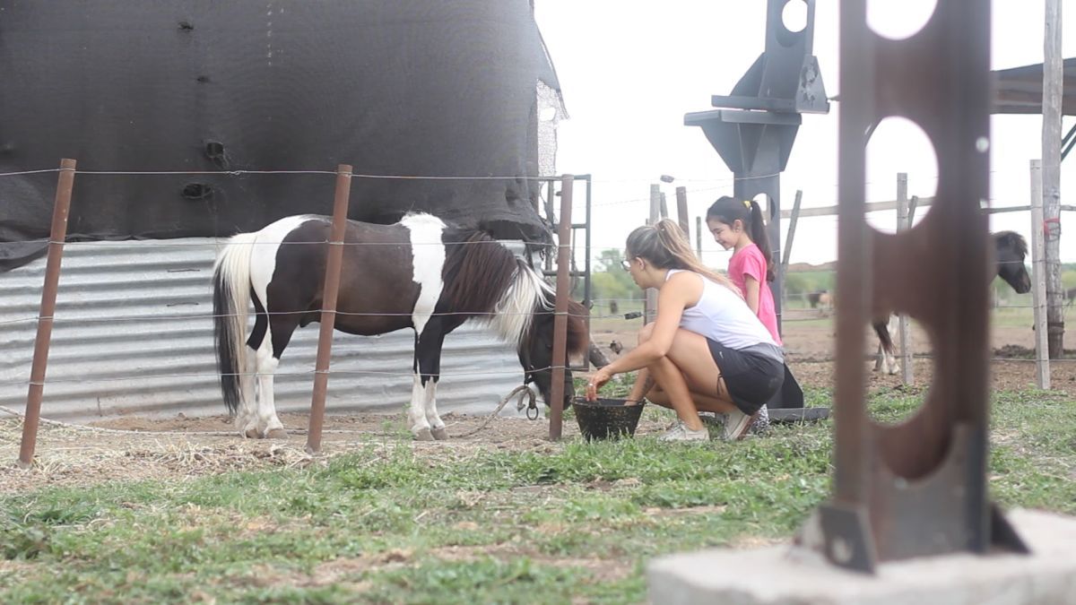Crítica de "Invisibles", documental sobre la situación de los animales en la alimentación