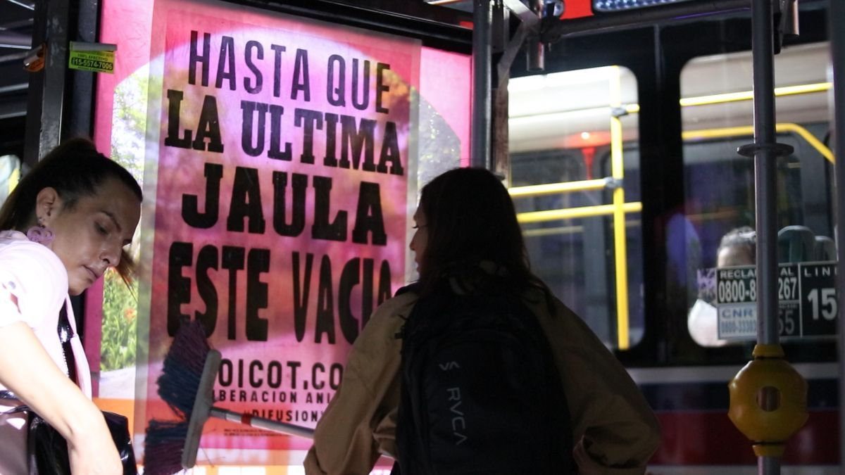 Crítica de "Invisibles", documental sobre la situación de los animales en la alimentación