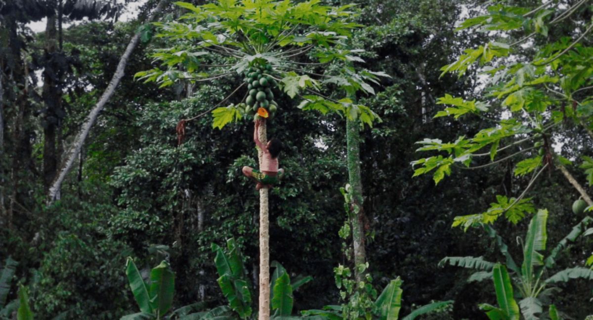 Crítica de "Águas do Pastaza", Inês T. Alves explora la vida infantil y la lucha por la sostenibilidad 