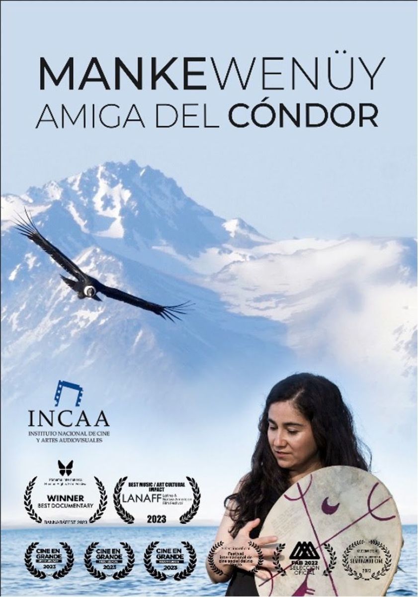 Crítica de "Mankewenüy - Amiga del Cóndor", un viaje de alto vuelo para construir memoria