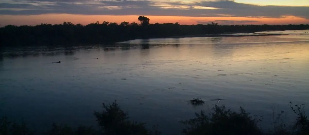 Crítica de "Salidos de la Salamanca", Josefina Zavalía Ábalos y el pueblo que pactó con el diablo