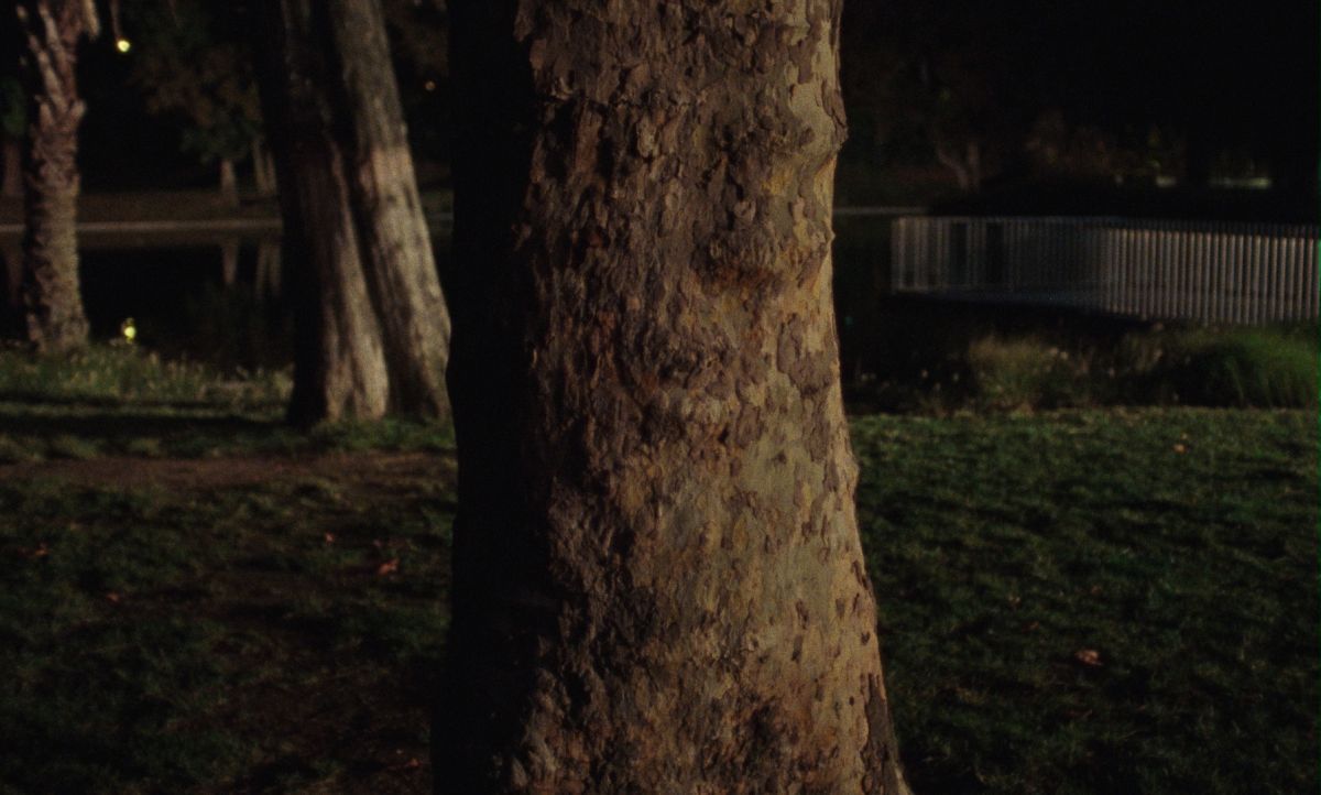 Crítica de "Onde fica esta rua? ou Sem antes nem depois", una reinterpretación audaz de un clásico portugués