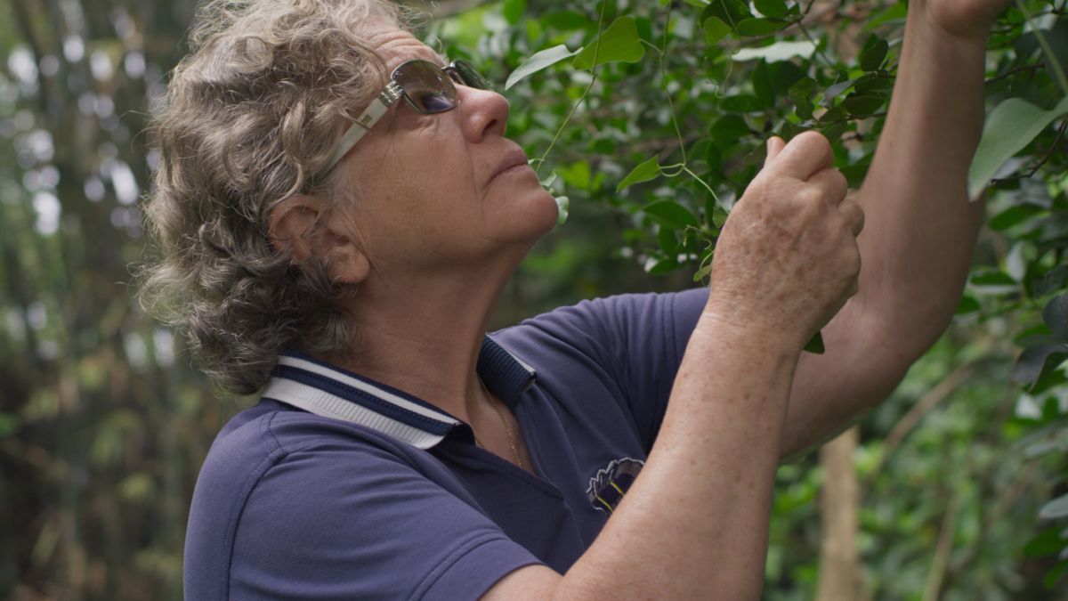 Crítica de “Guapo’y”, Sofía Paoli Thorne y las raíces de la memoria frente a la dictadura de Stroessner