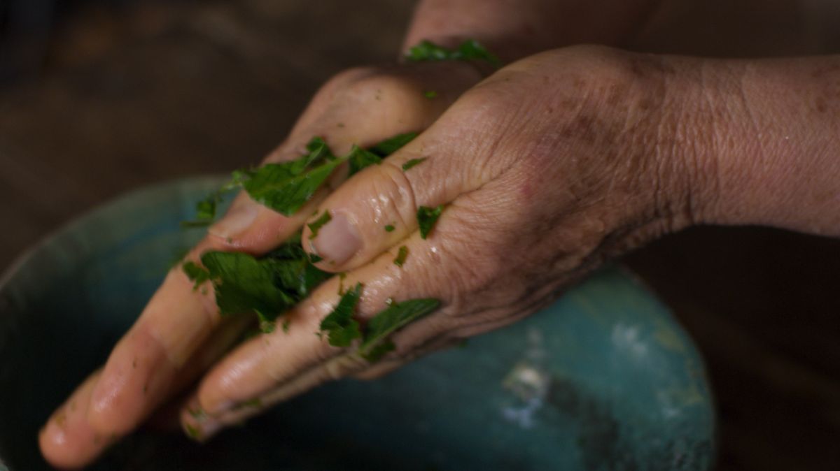 Crítica de “Guapo’y”, Sofía Paoli Thorne y las raíces de la memoria frente a la dictadura de Stroessner
