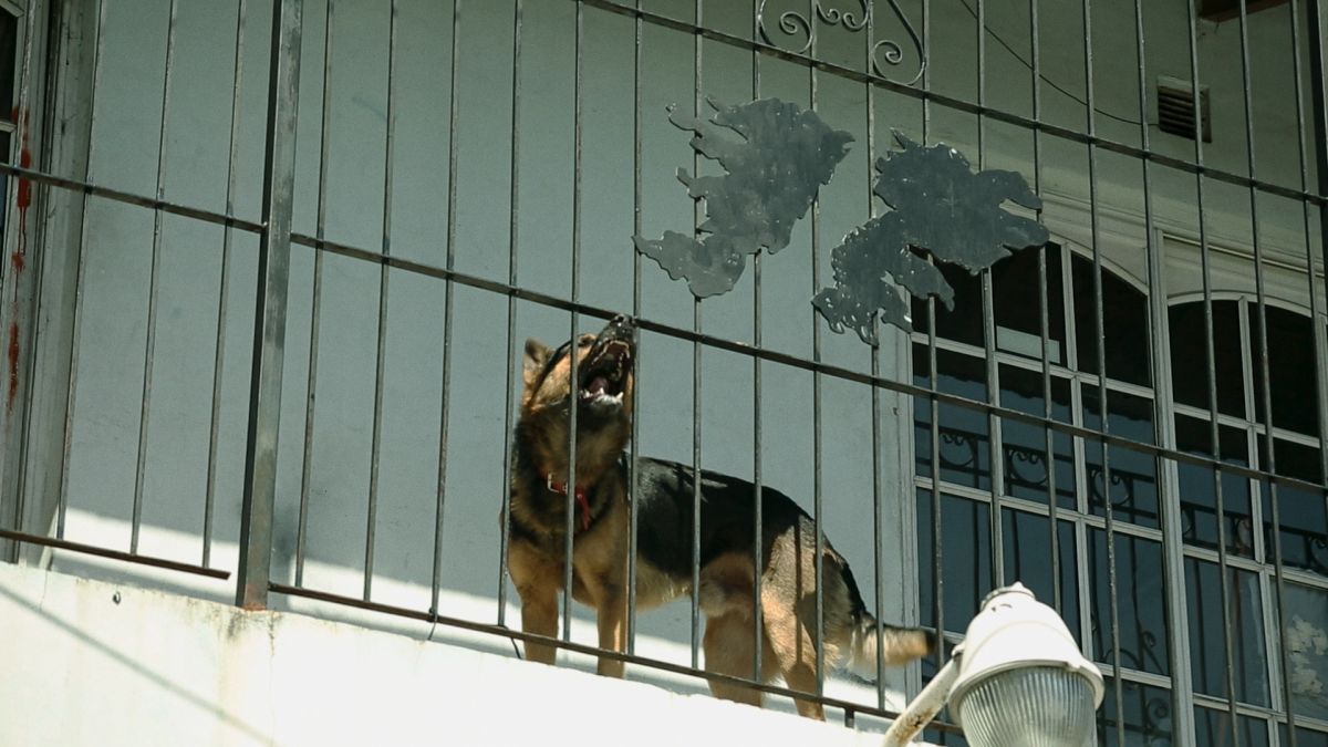 Crítica de "Puerto deseado", retrato de un ex-combatiente de Malvinas de Juan Manuel Bugarín