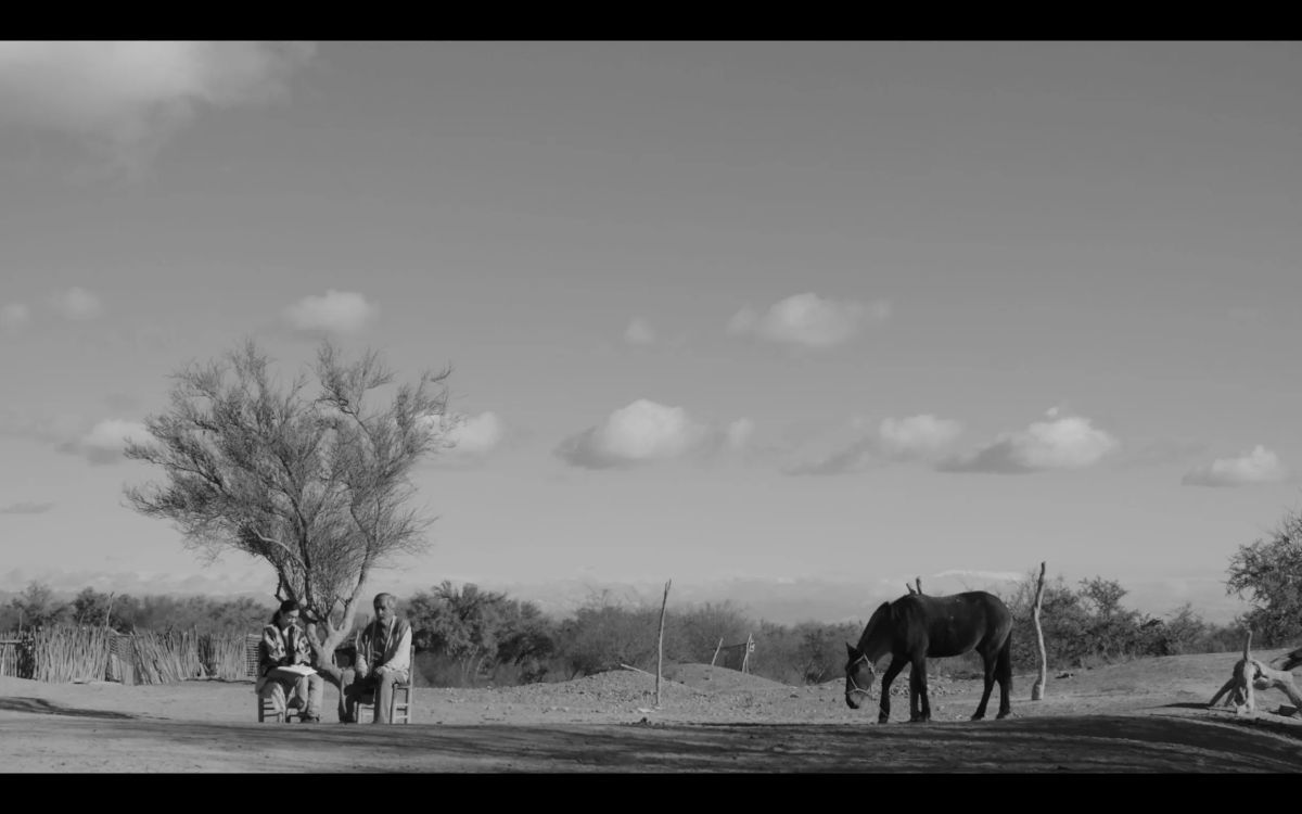 Crítica de "La calma", Mariano Cócolo retrata la lucha por la tierra y la identidad en su ópera prima