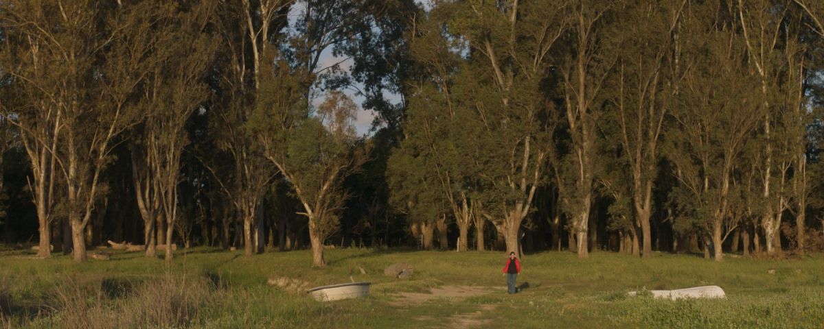 Crítica de  "Clara se pierde en el bosque", Camila Fabbri y las resonancias de Cromañón