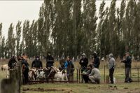 Se realizó la entrega del Premio Caic a la productora del año