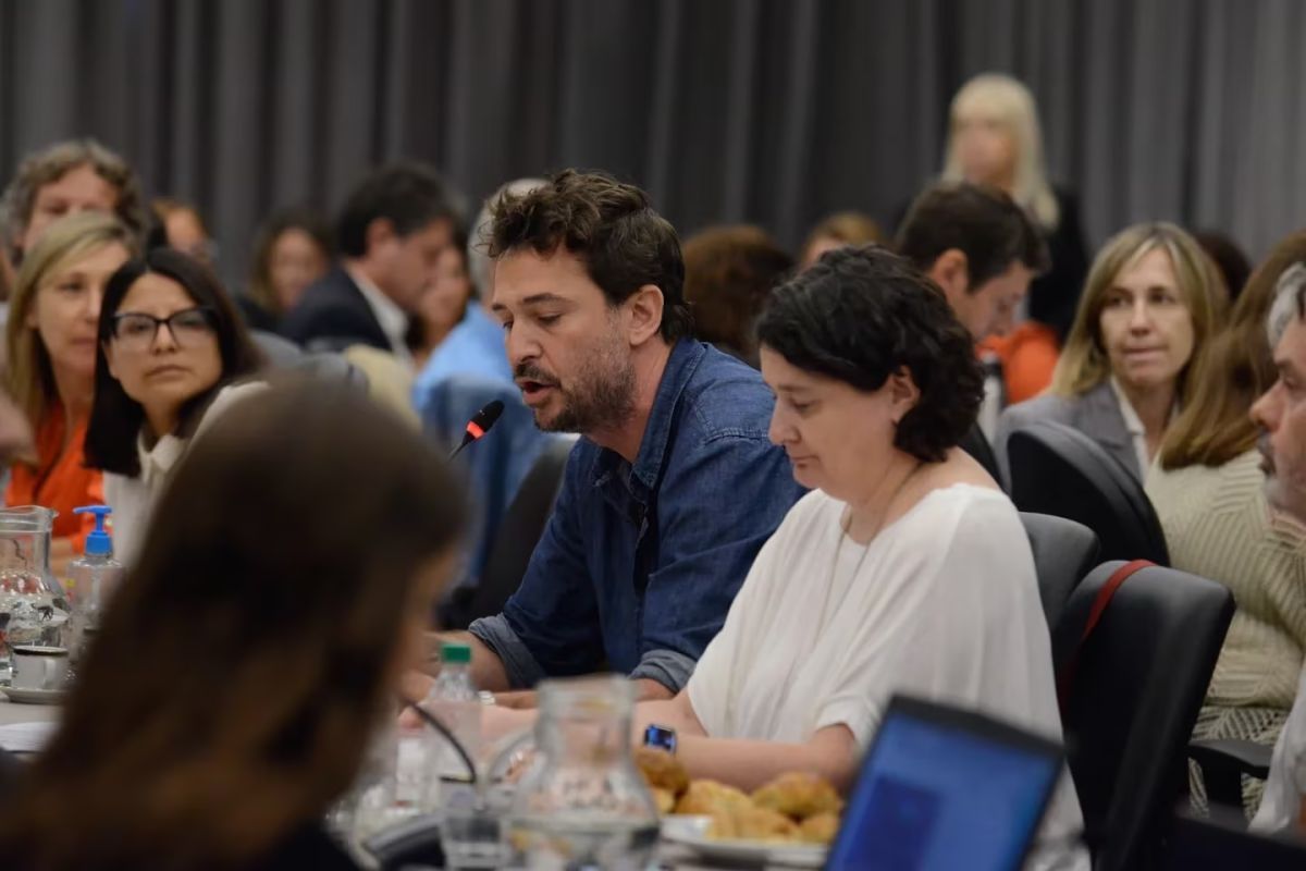 Lucrecia Martel alerta en Diputados sobre cambios propuestos en la Ley Ómnibus