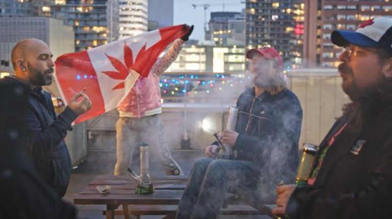 Toda la programación del 4º FICC BUENOS AIRES - Festival Internacional del Cine Cannábico