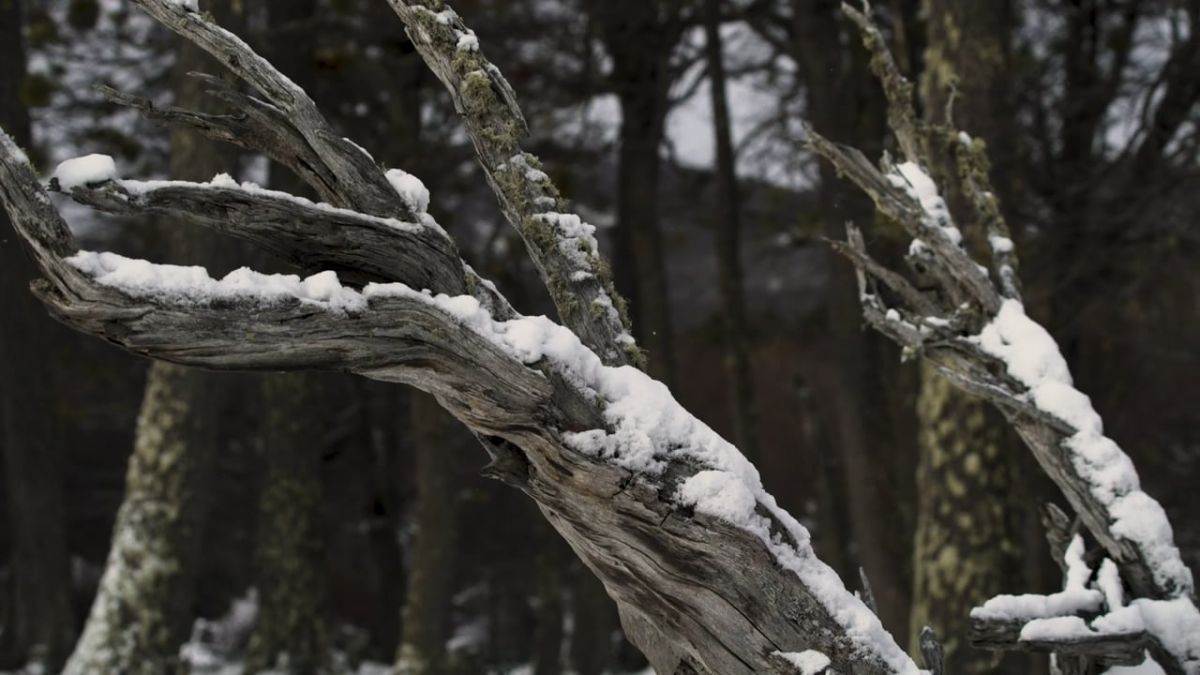 Paisajes sorprendentes en series y películas de  BAFILMA