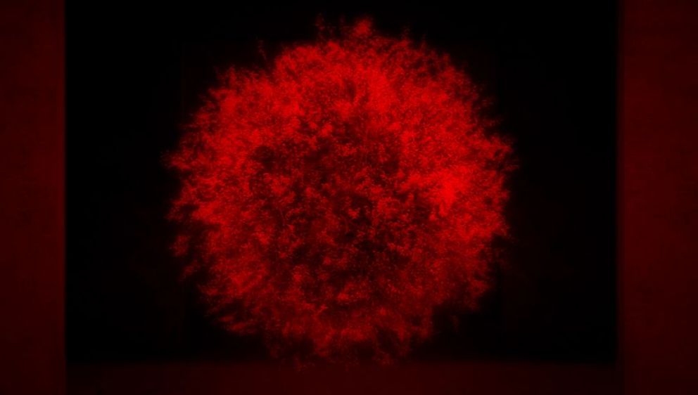 "10cortos10" celebra su séptima edición presentando lo mejor del cortometraje argentino