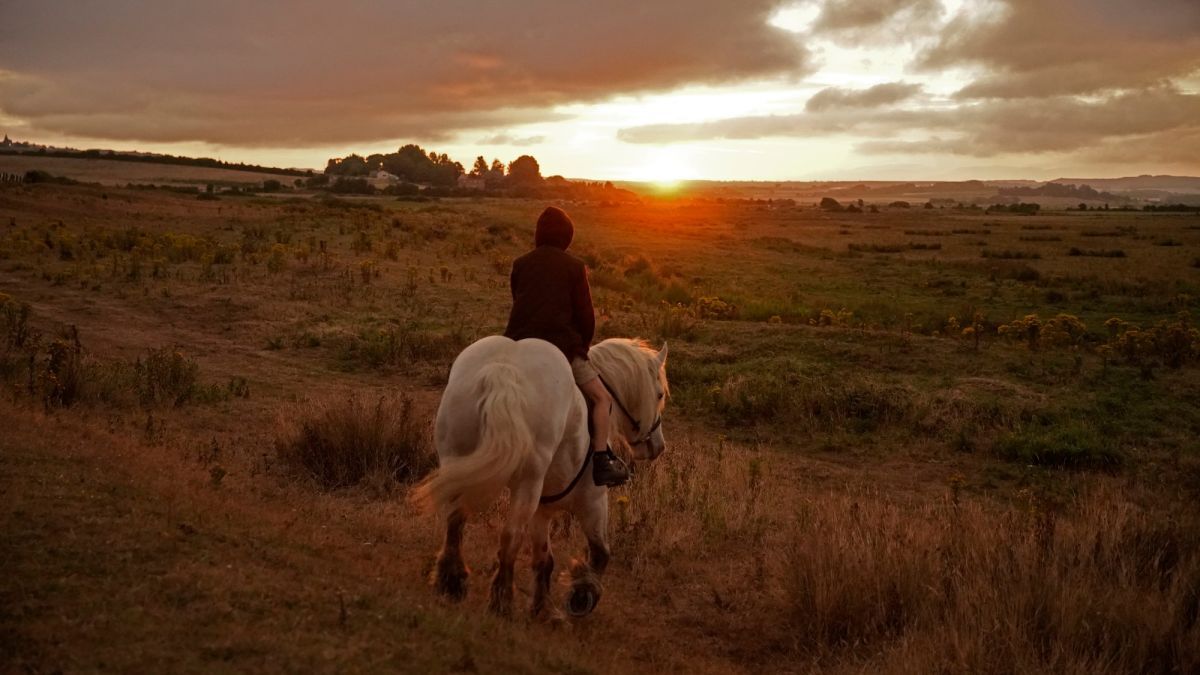 Crítica de "L’empire" de Bruno Dumont, ganadora del Premio del Jurado en Berlín