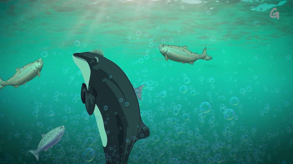 Greenpeace se une al mundo de la música con "Lina y los amigos del arcoíris"