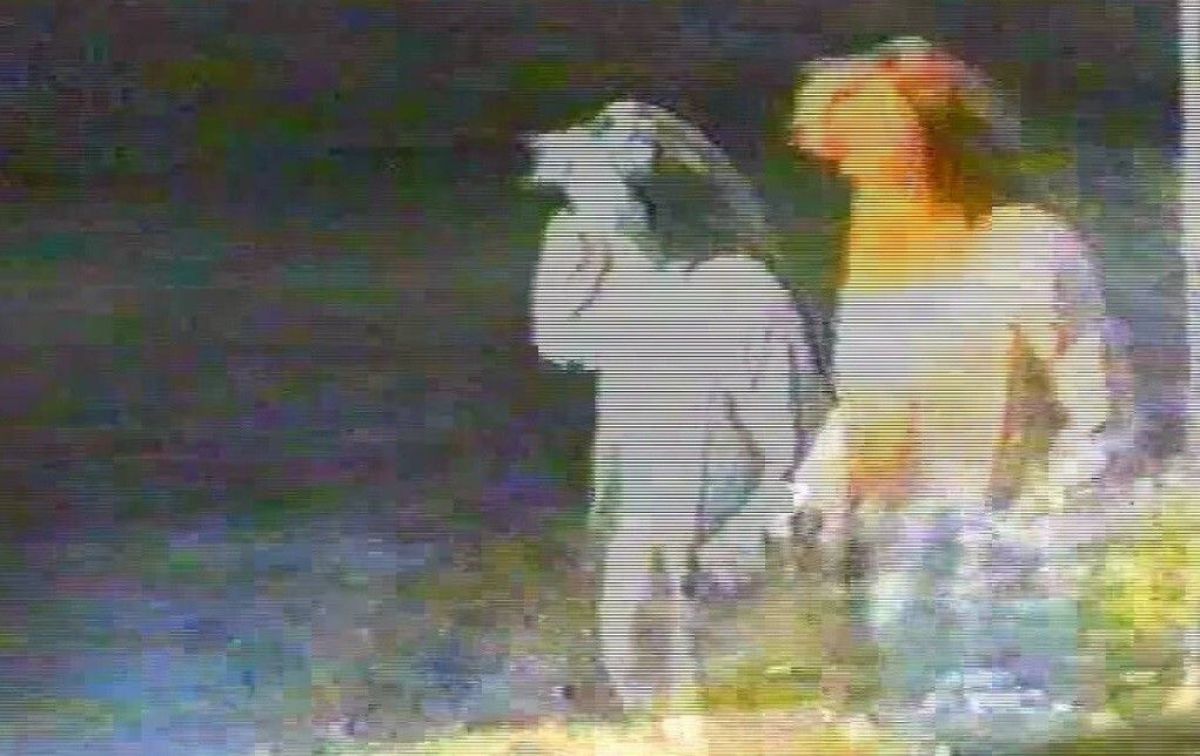 Todos los ganadores del Festival  Punto de Vista 2024