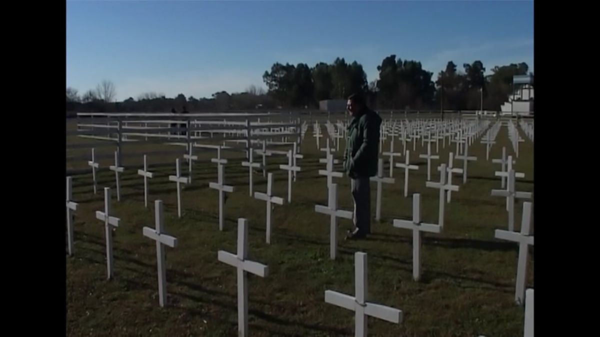 Malvinas presente en Bafilma