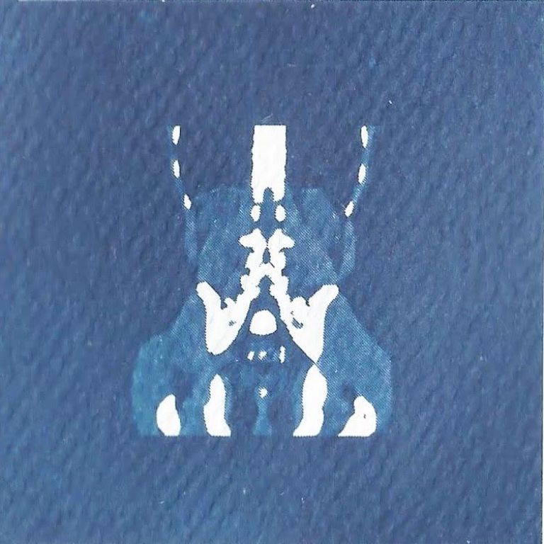 Toda la programación del 4° FECIMU, Festival Internacional de Cine y Multimedia 2024