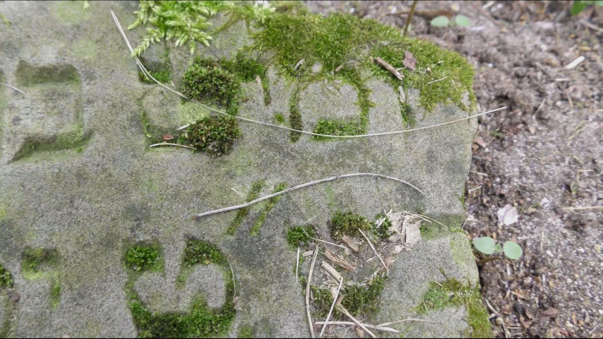 Crítica de "Hemshej": Julieta Lande tras las huellas del pasado