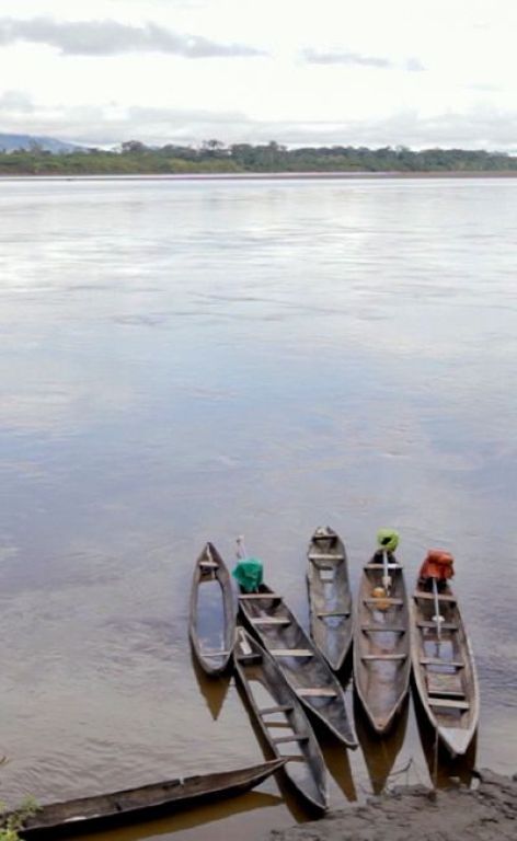 Series y películas sobre el agua en Bafilma