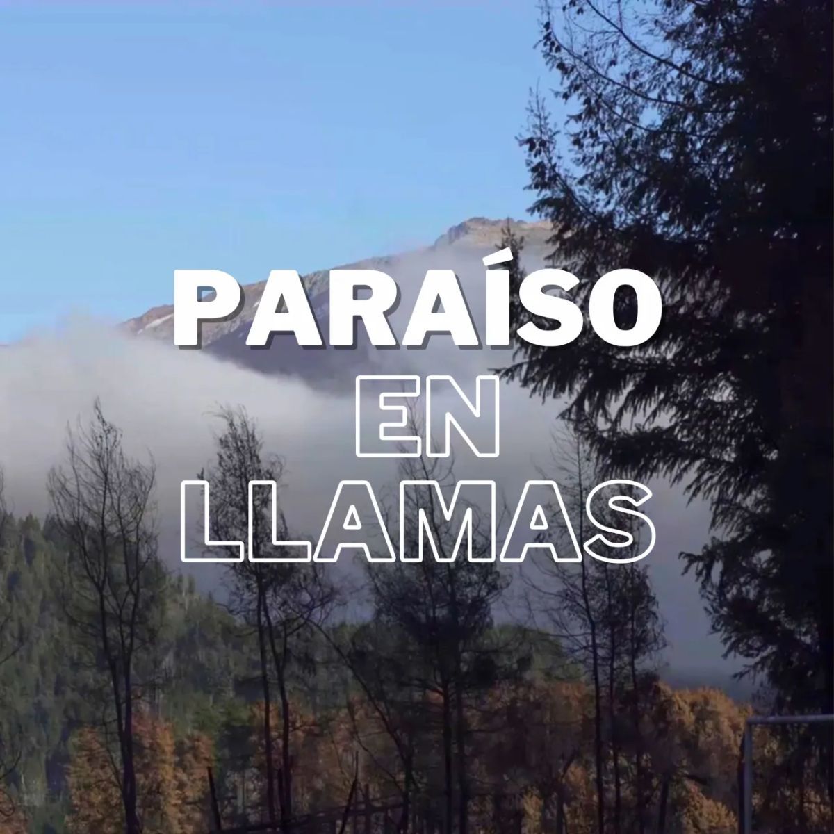 Todos los estrenos semanales de BAFILMA