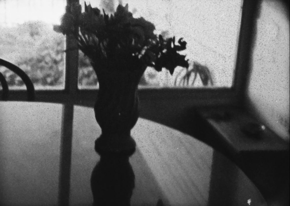 Crítica de "Las cosas indefinidas", María Aparicio y un viaje profundo a través de la identidad cinematográfica