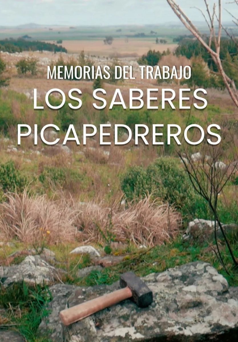 Narrativas de los trabajadores en lucha en la plataforma Bafilma