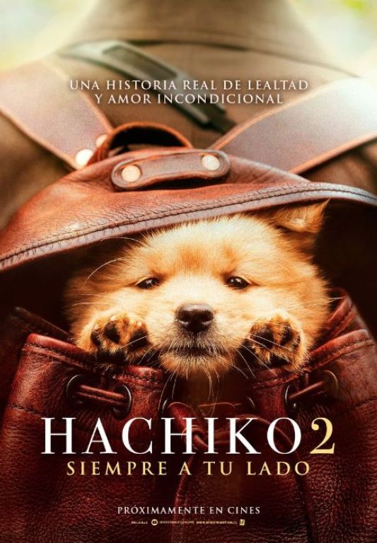 Crítica de “Hachiko 2: Siempre a tu lado”: un emotivo y sencillo aburrimiento sobre la lealtad