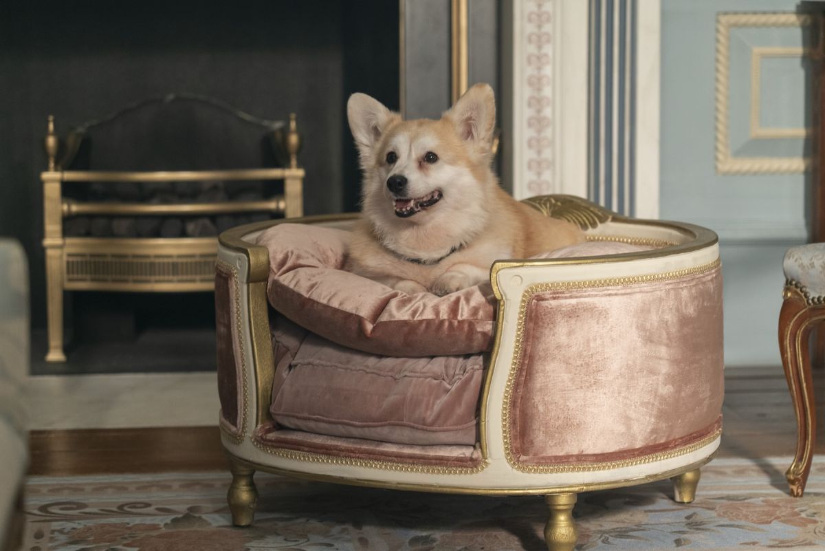 Crítica de "Los Bridgerton. Temporada 3, segunda parte": El desenlace menos esperado