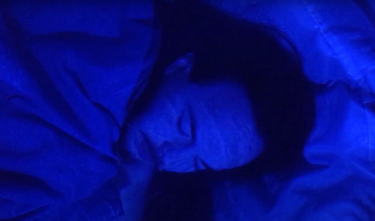 Cine en Curso: Una muestra de talento universitario en el KINO CNB