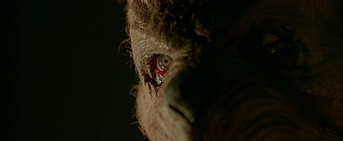 Crítica de "Winnie Pooh: Miel y sangre 2": La secuela del oso feo, sucio y malo