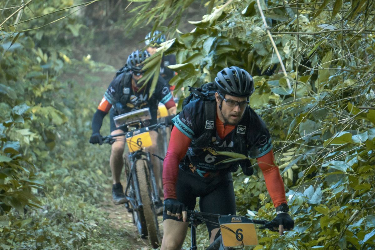 Crítica de “Arthur: Una amistad sin límites”: Mark Wahlberg y su perro deportista