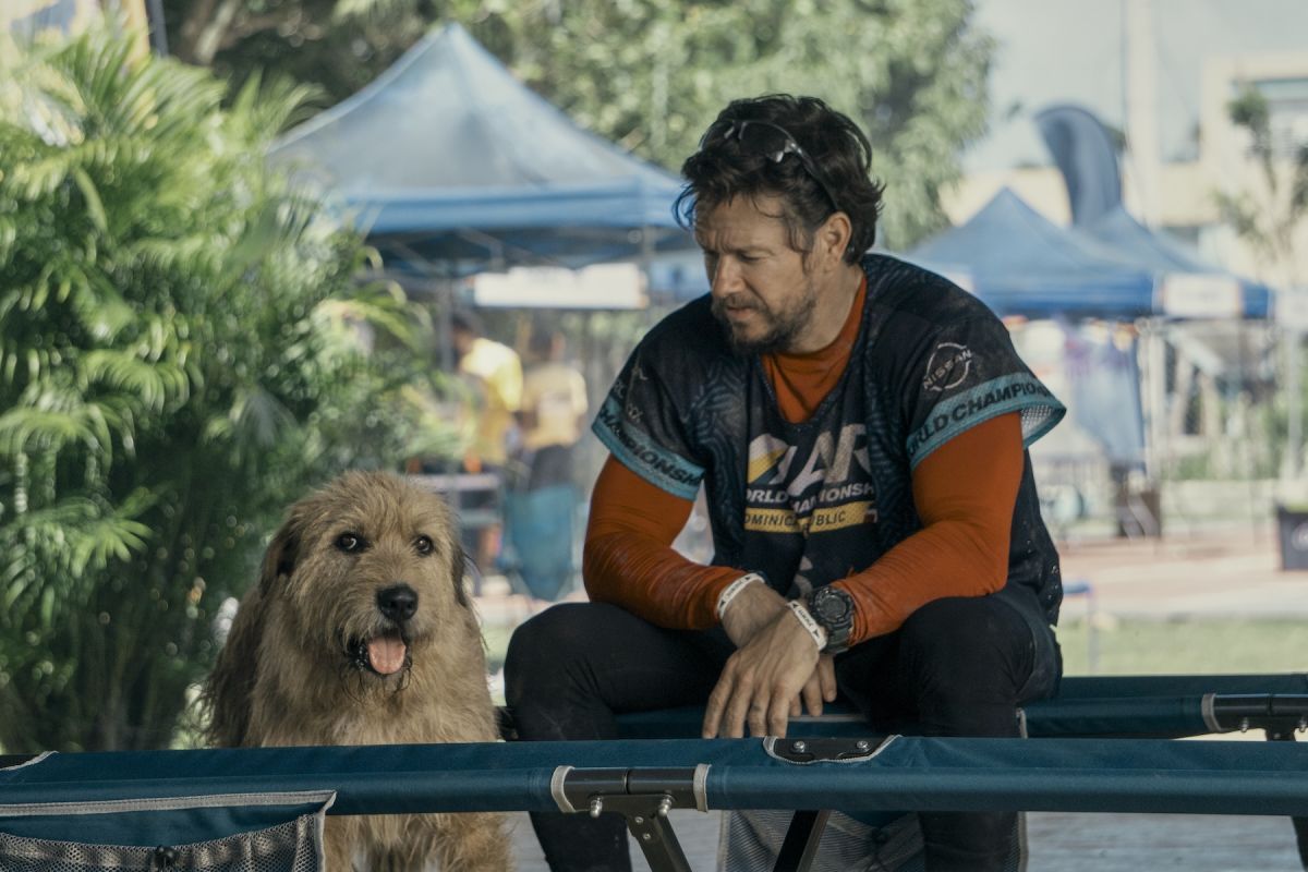 Crítica de “Arthur: Una amistad sin límites”: Mark Wahlberg y su perro deportista