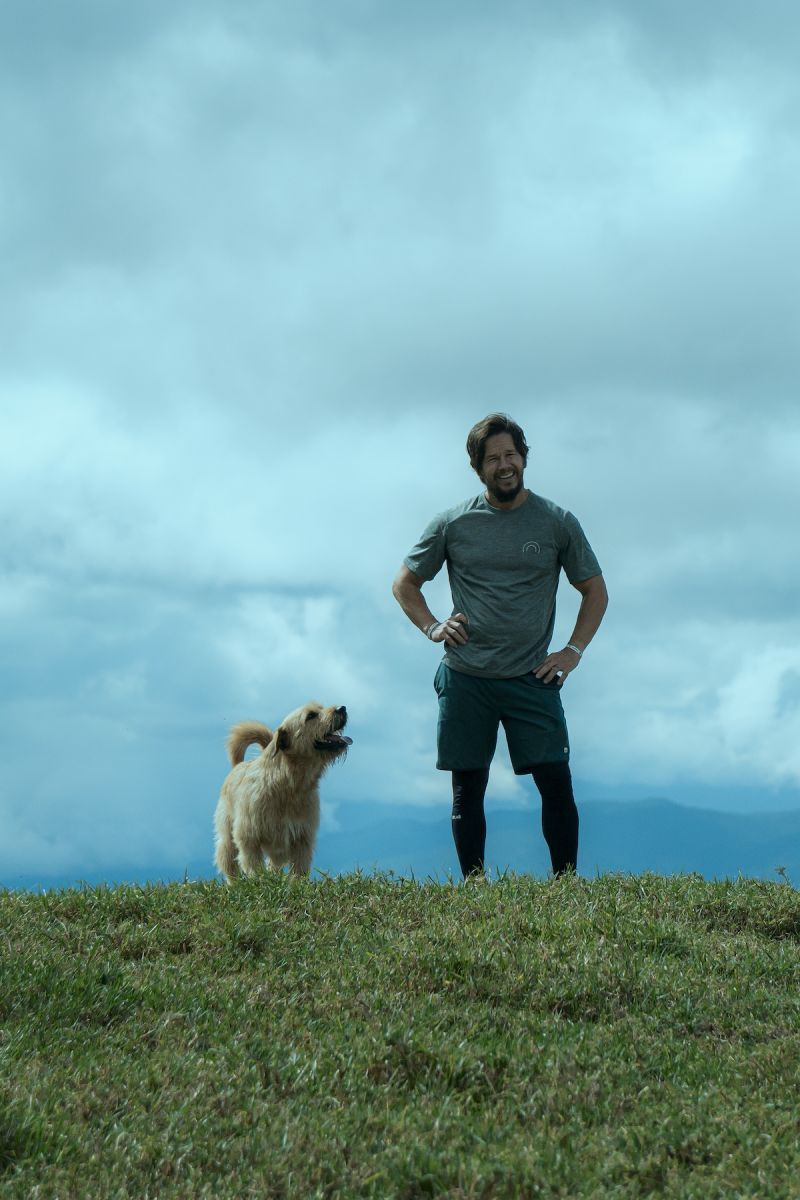 Crítica de “Arthur: Una amistad sin límites”: Mark Wahlberg y su perro deportista