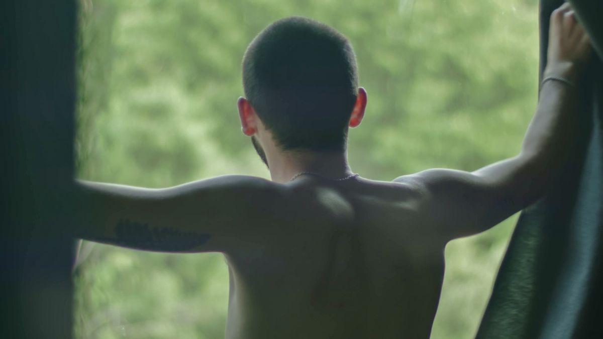 Toda la programación del 14 Cine Versátil