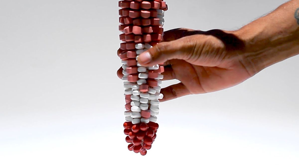 Toda la programación del 14 Cine Versátil