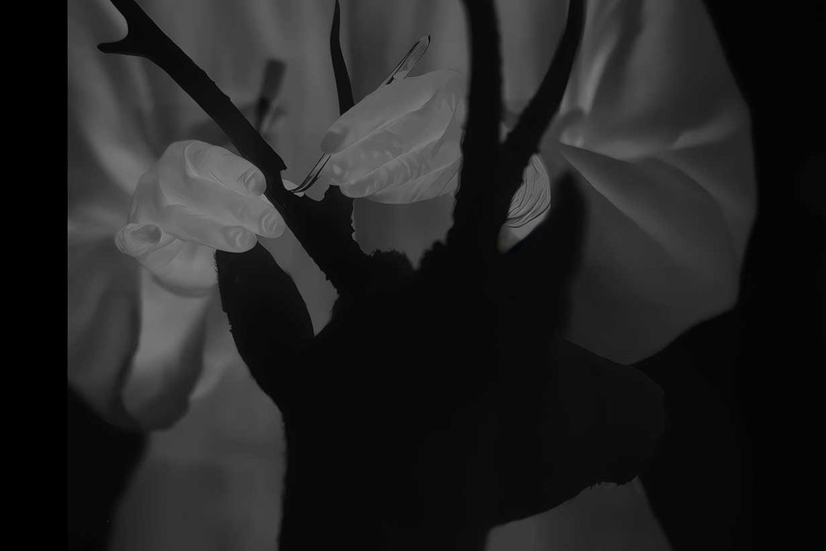 Tabakalera acogerá en septiembre una exposición de la artista y cineasta Jessica Sarah Rinland