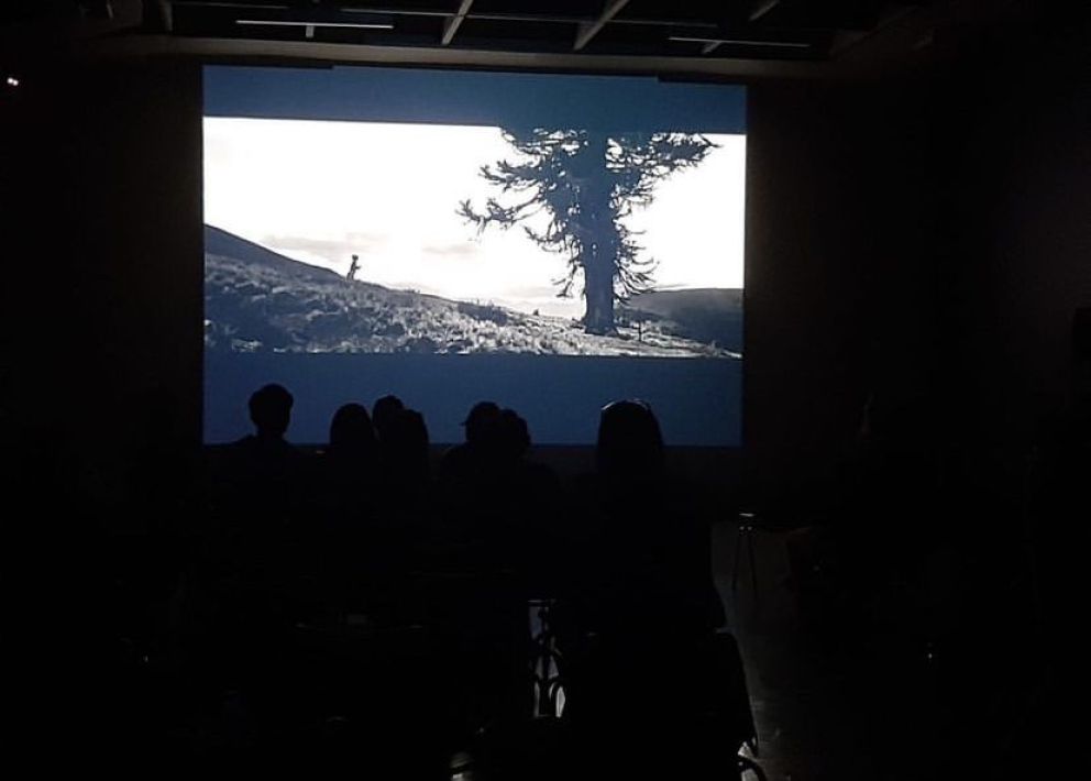 La 18ª Muestra Cine+Video Indígena celebra la diversidad cultural en el Museo Chileno de Arte Precolombino