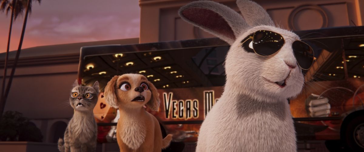 Crítica de “Mascotas en apuros”: El ángel y el diablo en forma de perro y gato