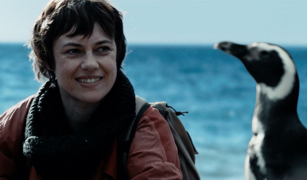 Crítica de “Mi amigo el pingüino”: Jean Reno y una historia real ocurrida en sudamérica