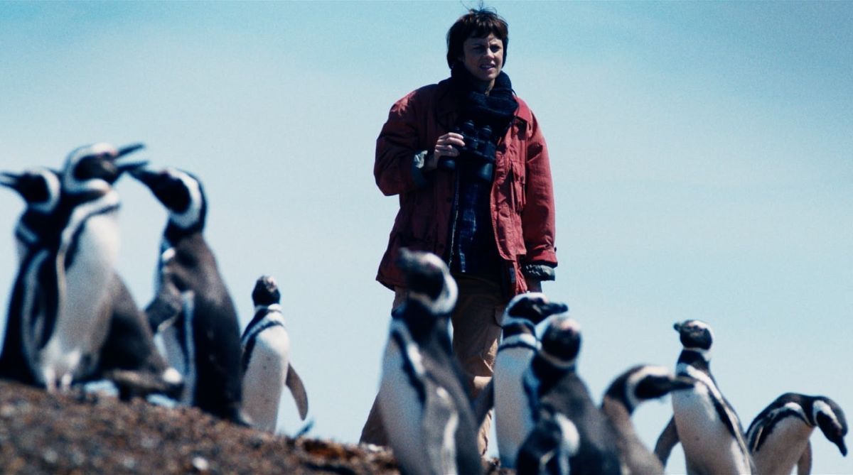 Crítica de “Mi amigo el pingüino”: Jean Reno y una historia real ocurrida en sudamérica