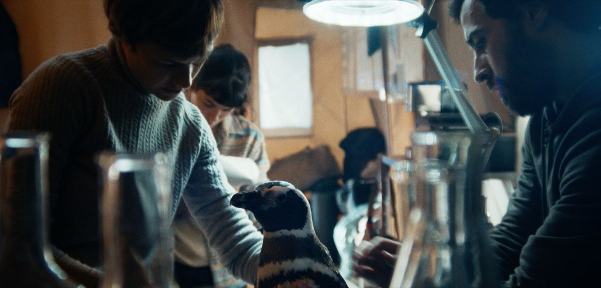 Crítica de “Mi amigo el pingüino”: Jean Reno y una historia real ocurrida en sudamérica