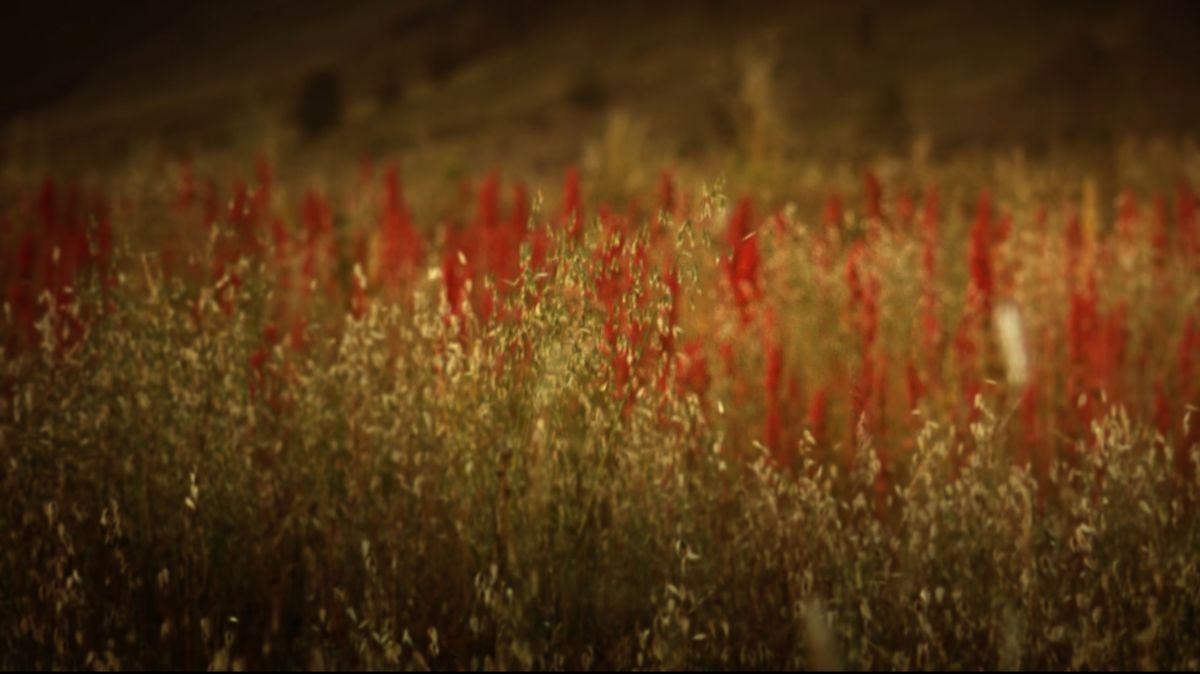 Crítica de: "A través de la tierra": La experiencia migrante narrada en primera persona