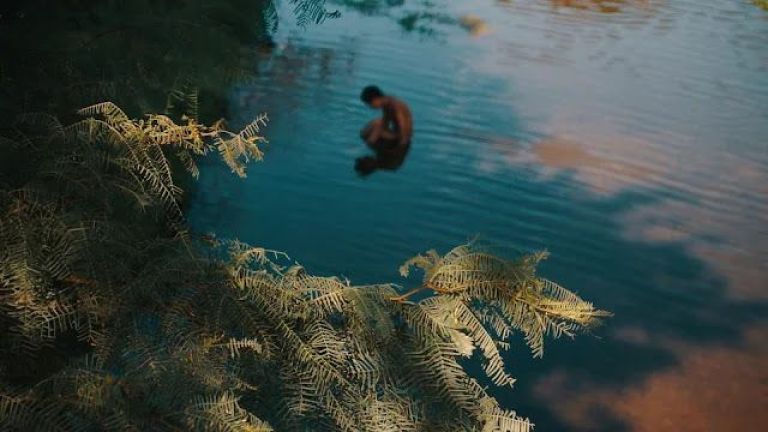 Toda la programación del  19° Festival de Cine Inusual de Buenos Aires 2024