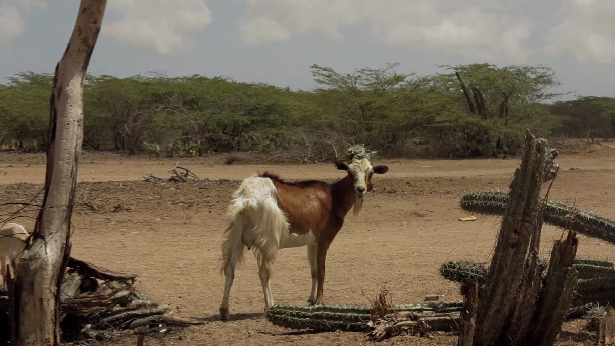 Crítica de "Partes del todo": Juan Renau y una mirada fragmentada a la vida
