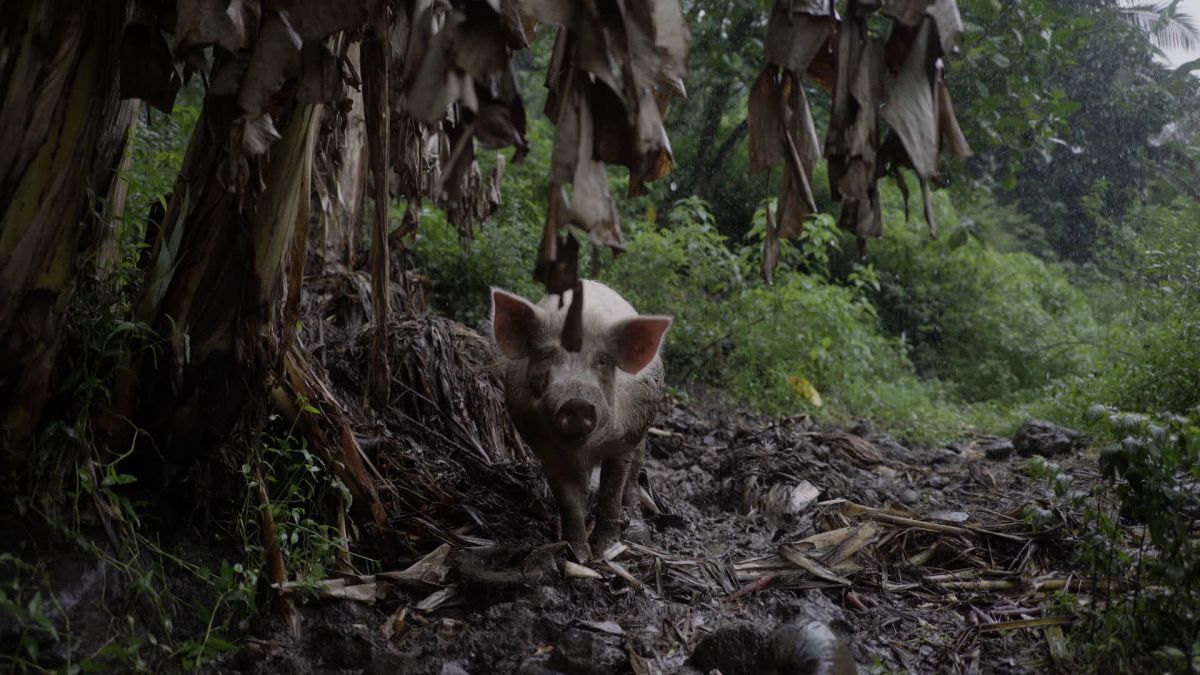 Crítica de "Partes del todo": Juan Renau y una mirada fragmentada a la vida