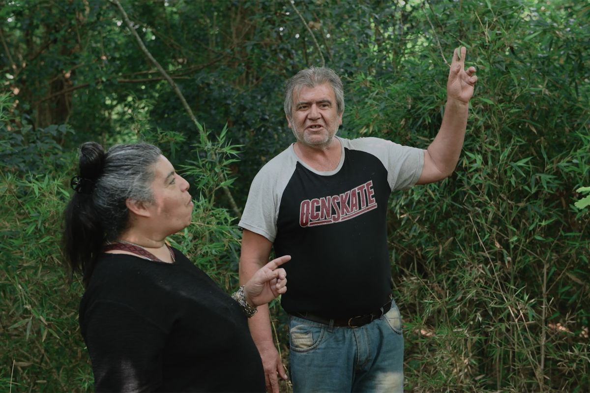 Crítica de "Ciclón fantasma": Diana Cardini entre mitos y sensaciones